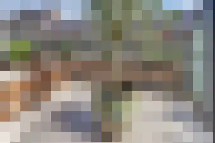 Groot Horloo 40 Ermelo thumbnail 30