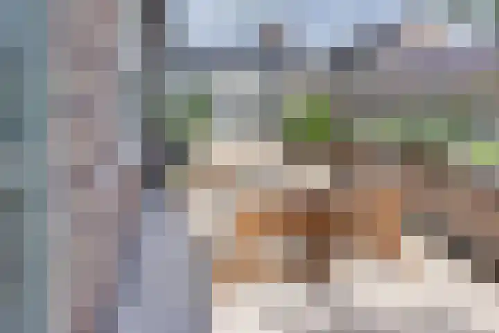 Groot Horloo 40 Ermelo thumbnail 31