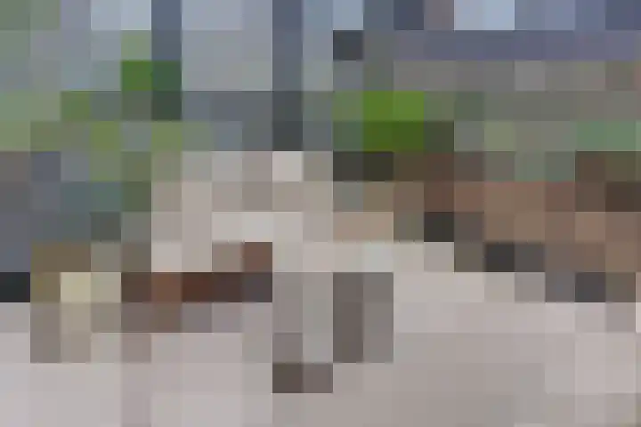 Groot Horloo 40 Ermelo thumbnail 32