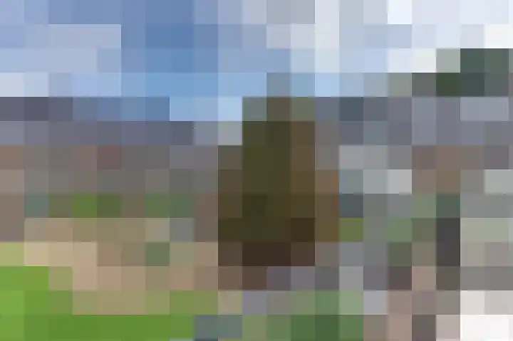 Groot Horloo 40 Ermelo thumbnail 33