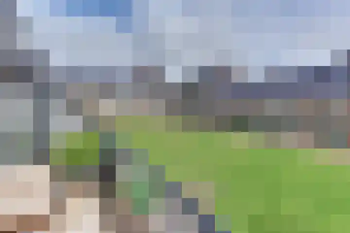 Groot Horloo 40 Ermelo thumbnail 34