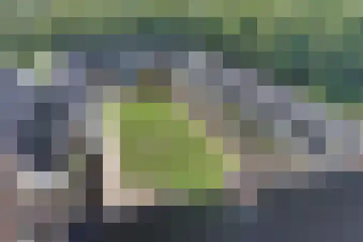 Groot Horloo 40 Ermelo thumbnail 35