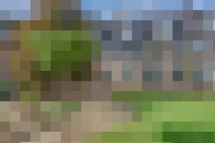 Groot Horloo 40 Ermelo thumbnail 39