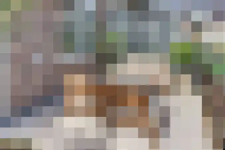 Groot Horloo 40 Ermelo thumbnail 4