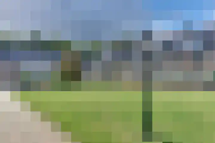 Groot Horloo 40 Ermelo thumbnail 43