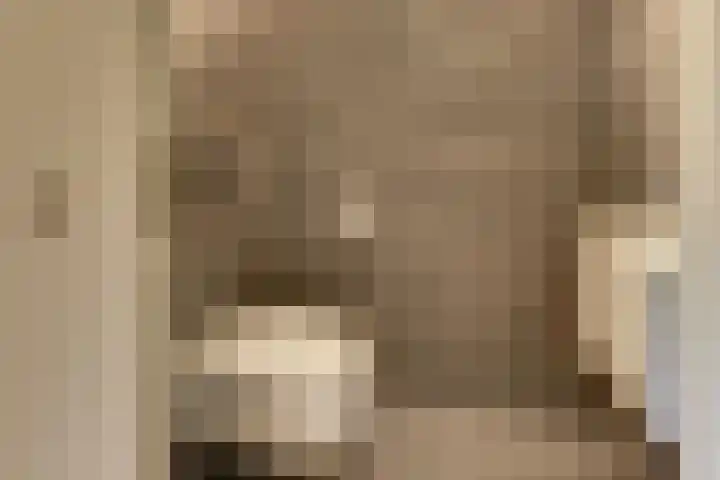 Groot Horloo 40 Ermelo thumbnail 9