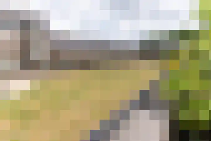 Groot Horloo 50 Ermelo thumbnail 28