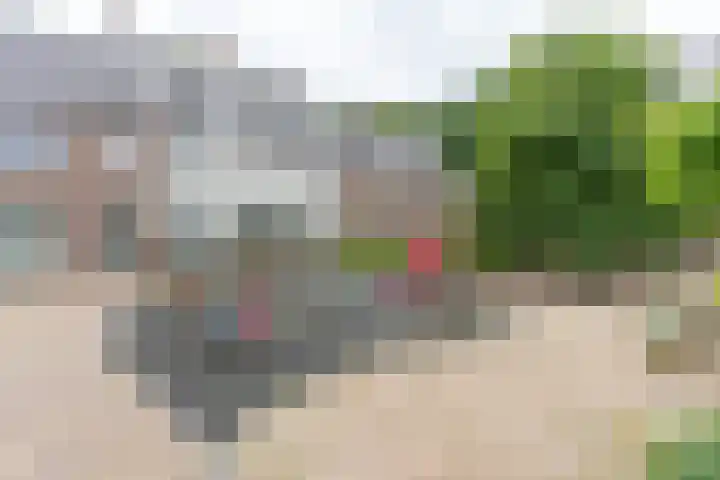 Groot Horloo 50 Ermelo thumbnail 29