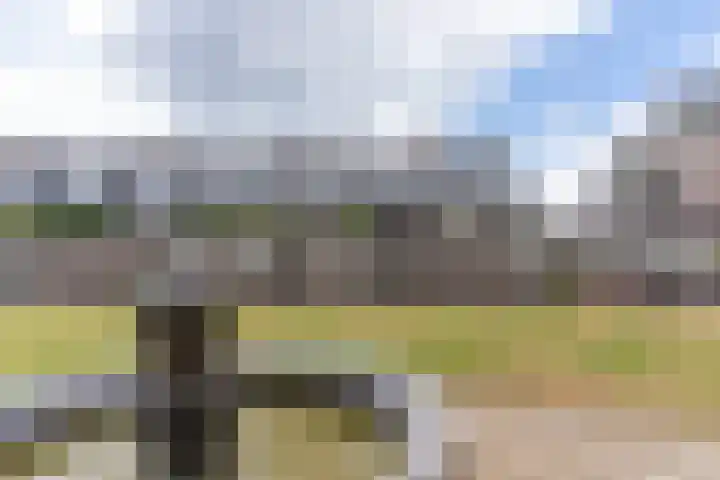 Groot Horloo 50 Ermelo thumbnail 30