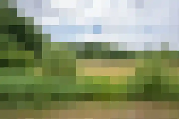 Groot Horloo 50 Ermelo thumbnail 31