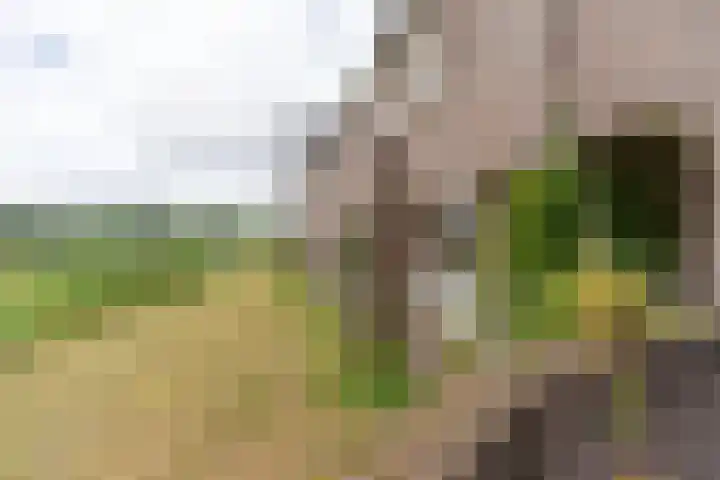 Groot Horloo 50 Ermelo thumbnail 32