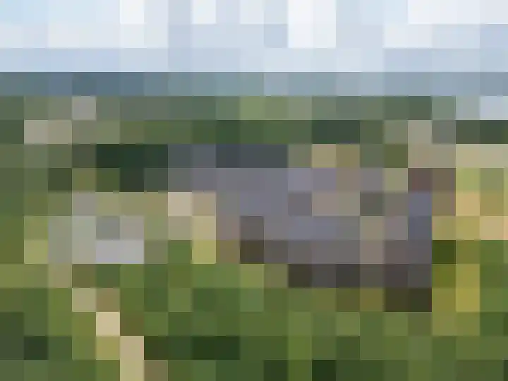 Groot Horloo 50 Ermelo thumbnail 34