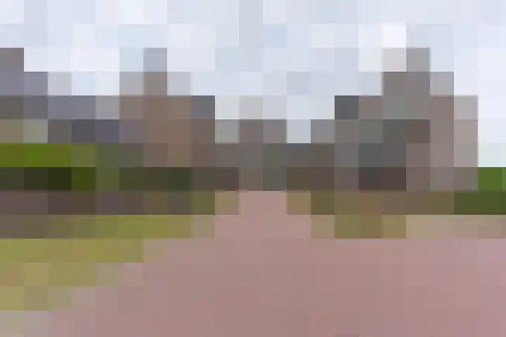 Groot Horloo 50 Ermelo thumbnail 4