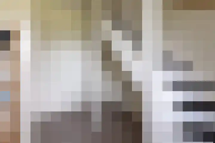 Groot Horloo 50 Ermelo thumbnail 7