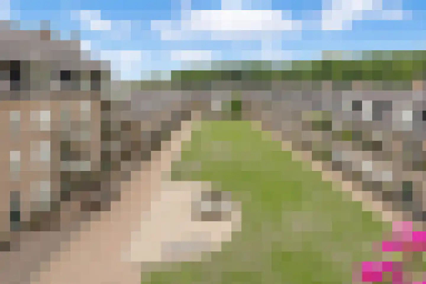Groot Horloo 66 Ermelo thumbnail 26