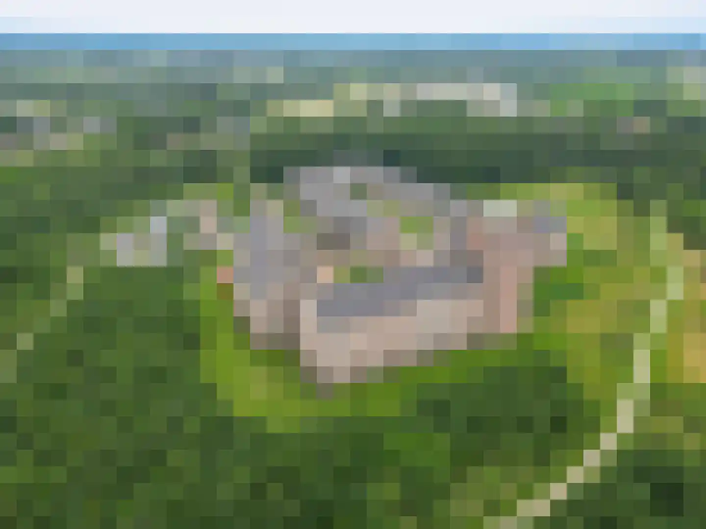 Groot Horloo 66 Ermelo thumbnail 4