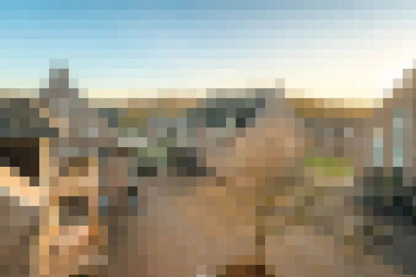 Groot Horloo 87 Ermelo thumbnail 21