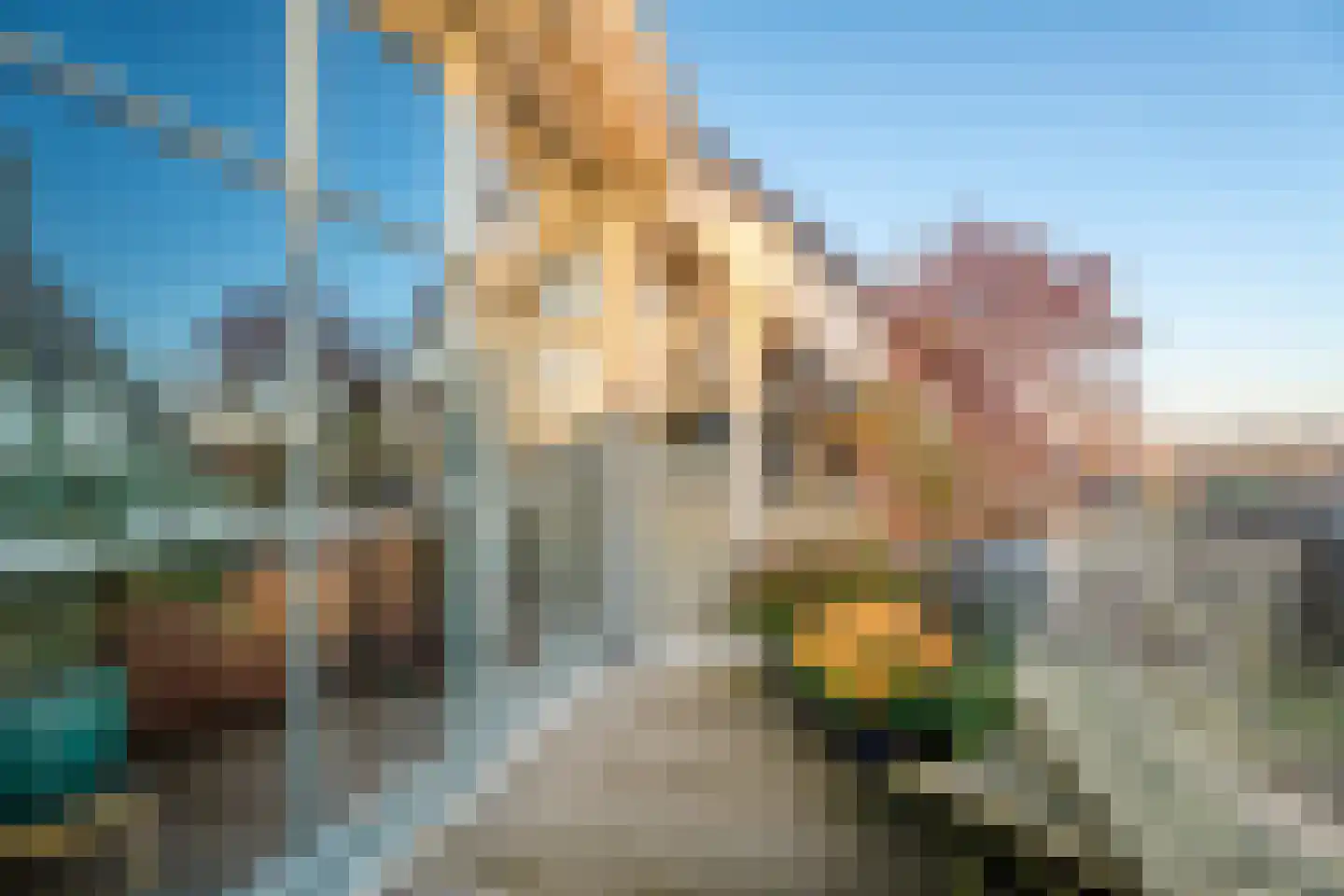 Groot Horloo 87 Ermelo thumbnail 22