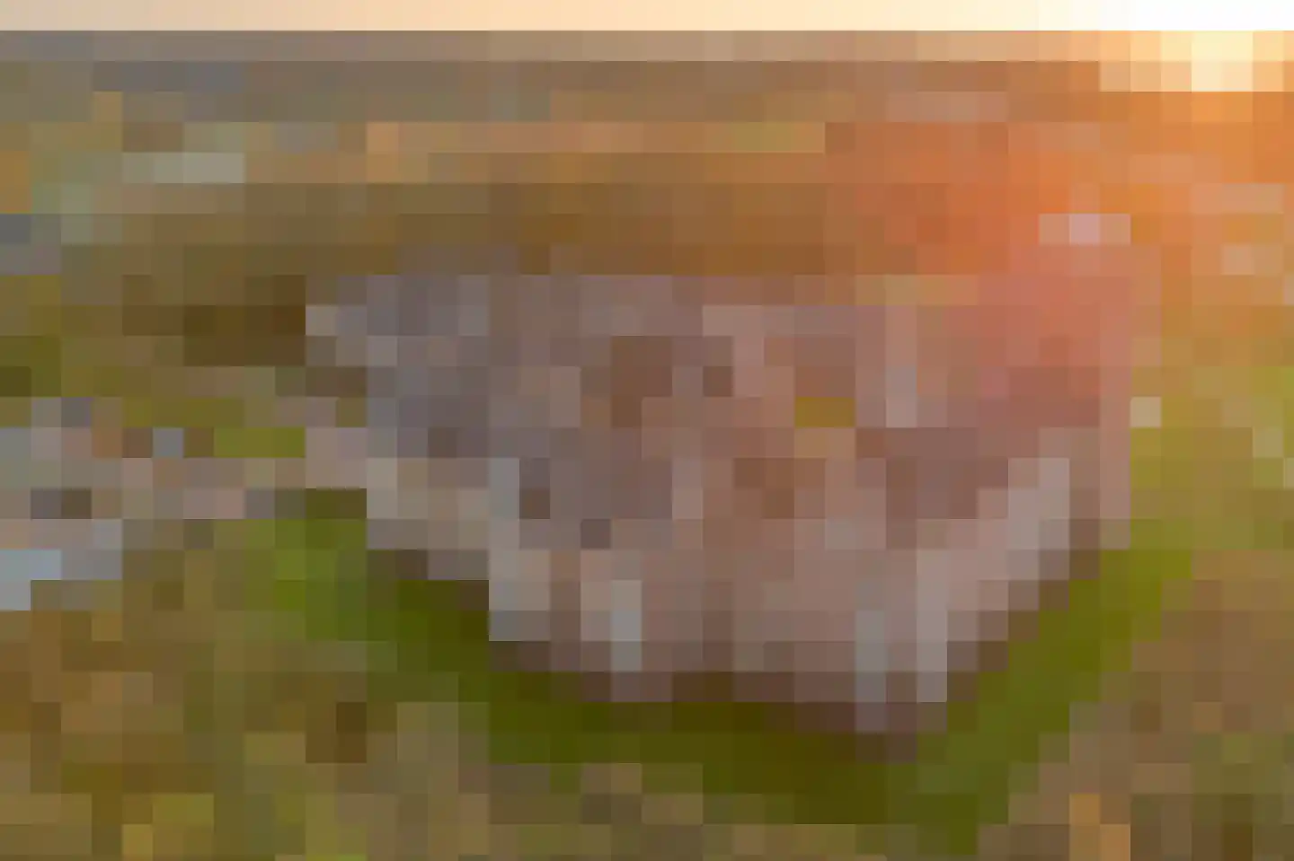 Groot Horloo 87 Ermelo thumbnail 36