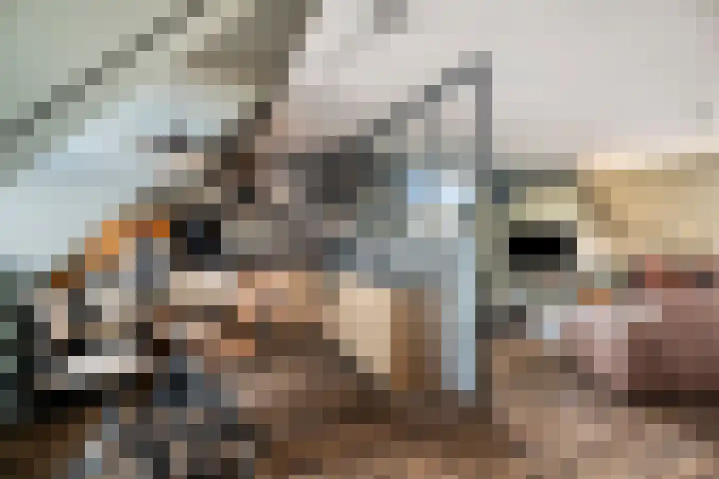 Groot Horloo 87 Ermelo thumbnail 8