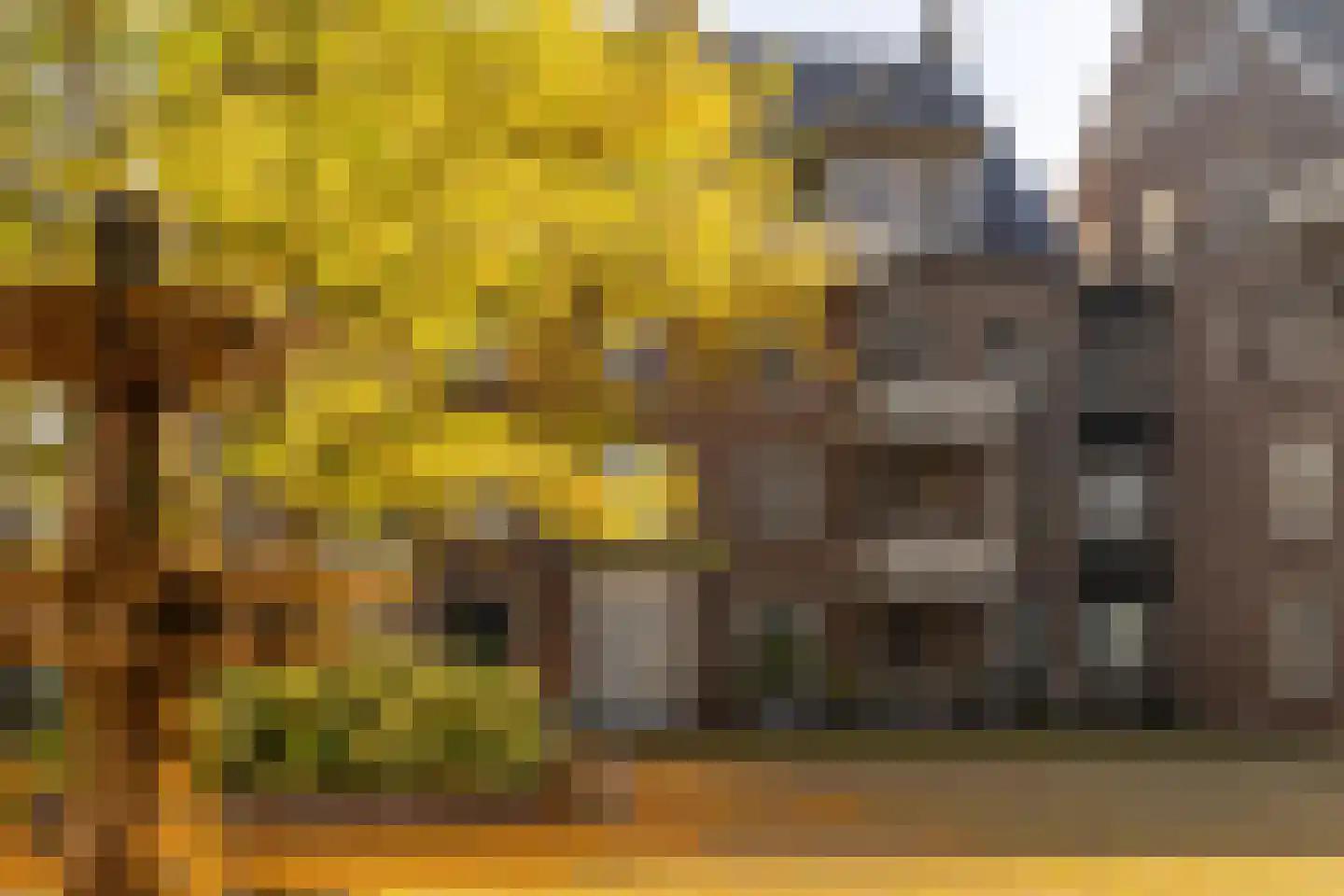 Groot Horloo 93 Ermelo thumbnail 30