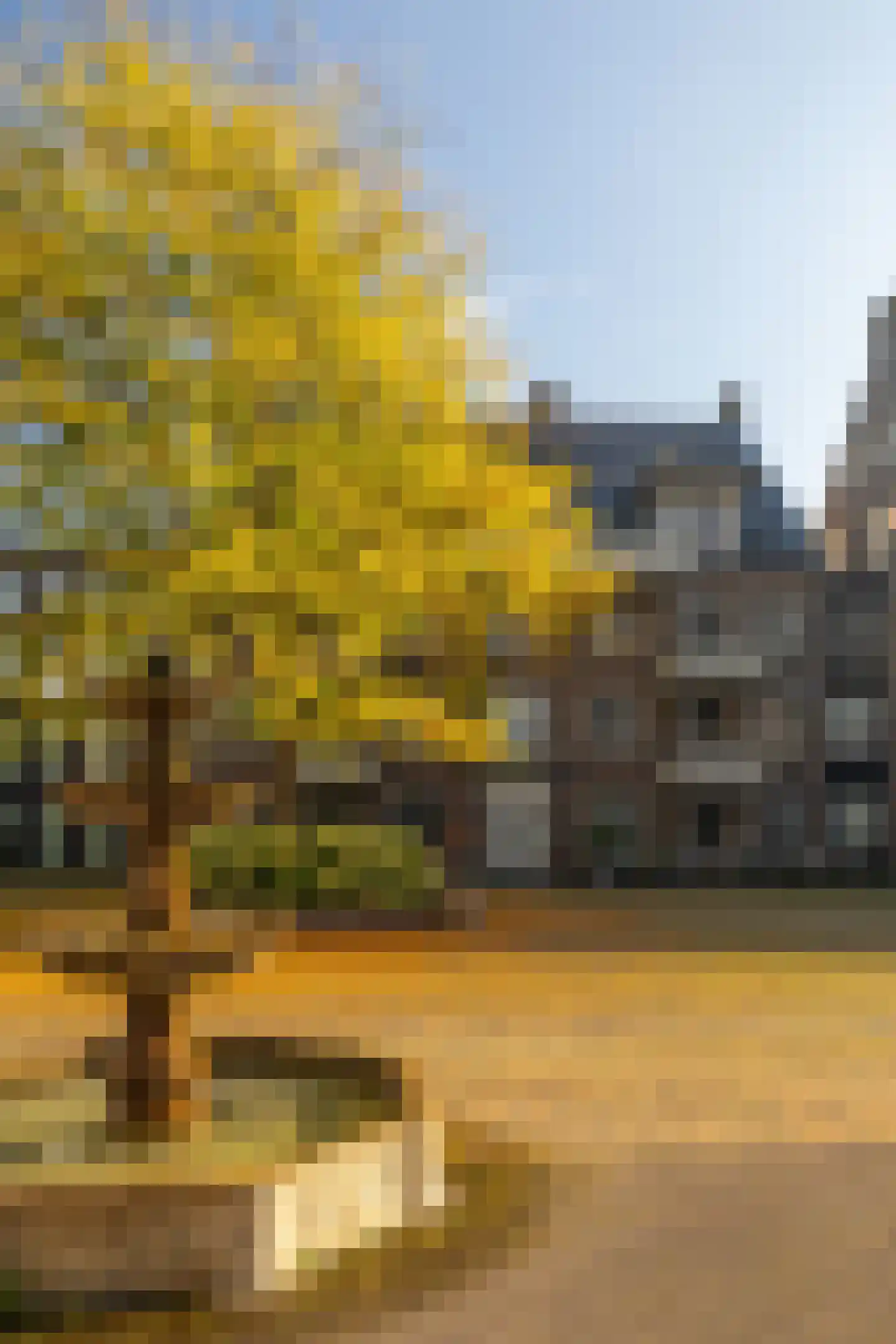 Groot Horloo 93 Ermelo thumbnail 31