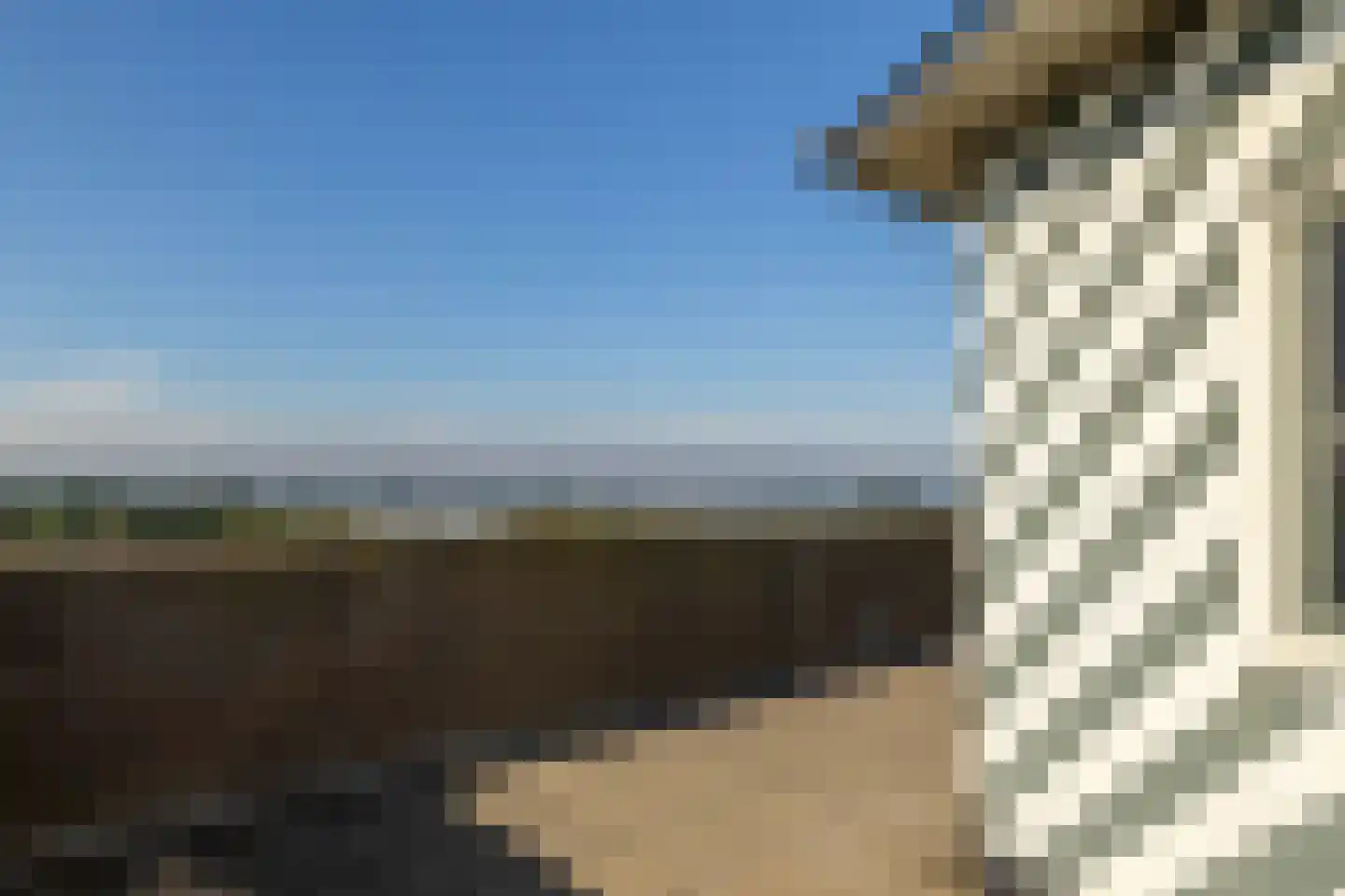 Groot Horloo 93 Ermelo thumbnail 40