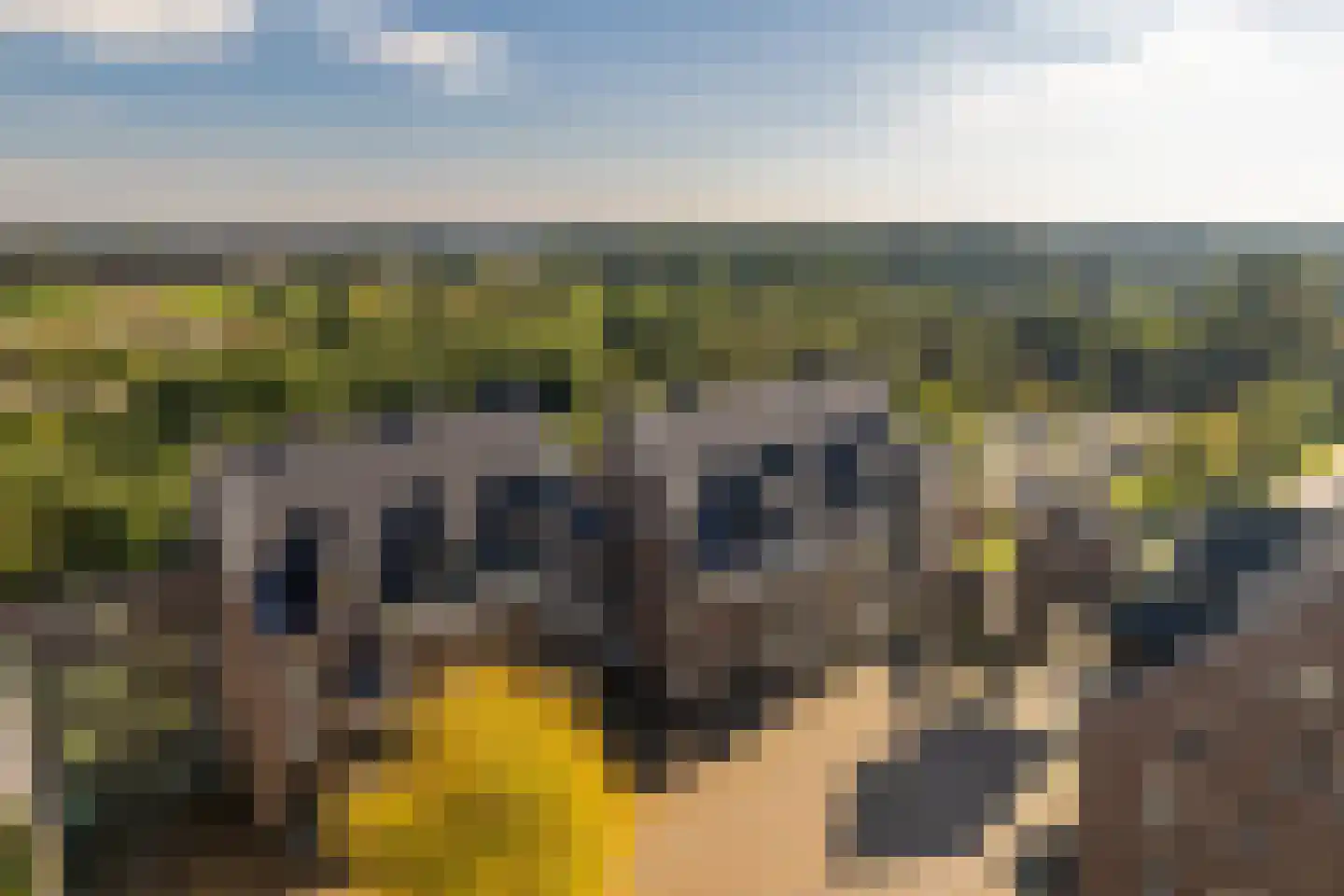 Groot Horloo 93 Ermelo thumbnail 41