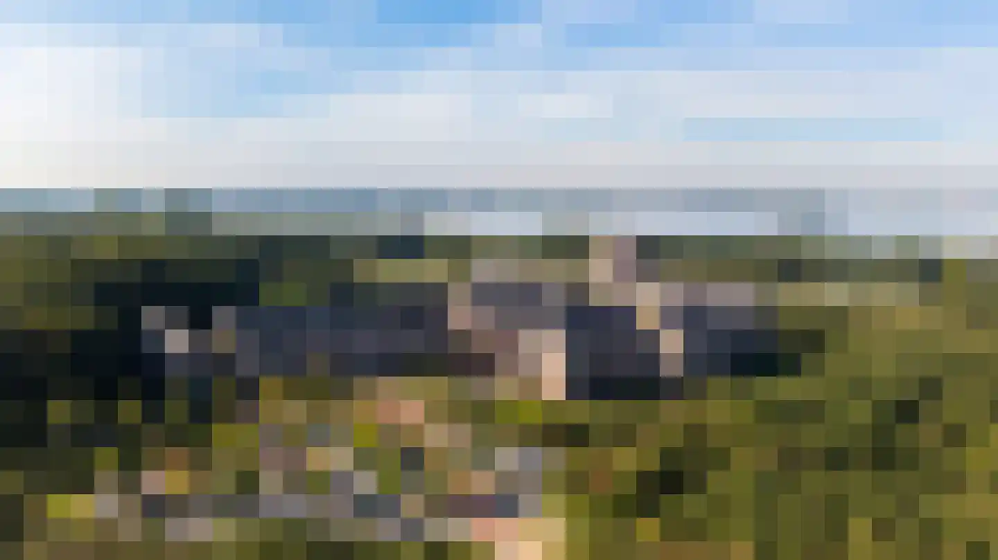 Groot Horloo 93 Ermelo thumbnail 5