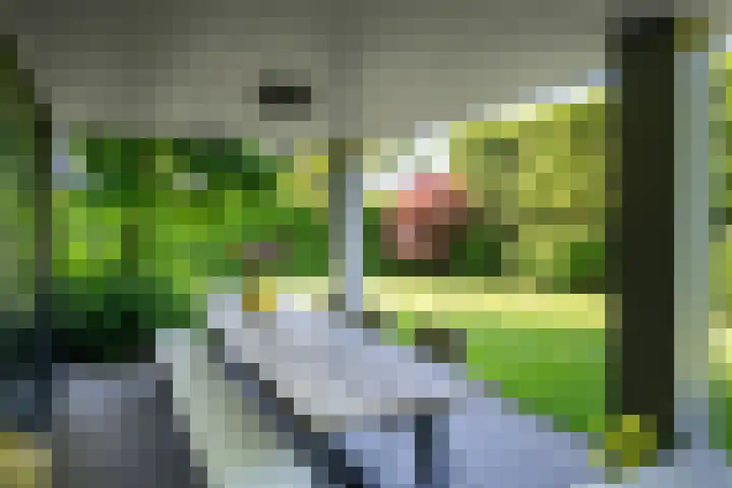 Groot Houteveen 4 Hooglanderveen thumbnail 27