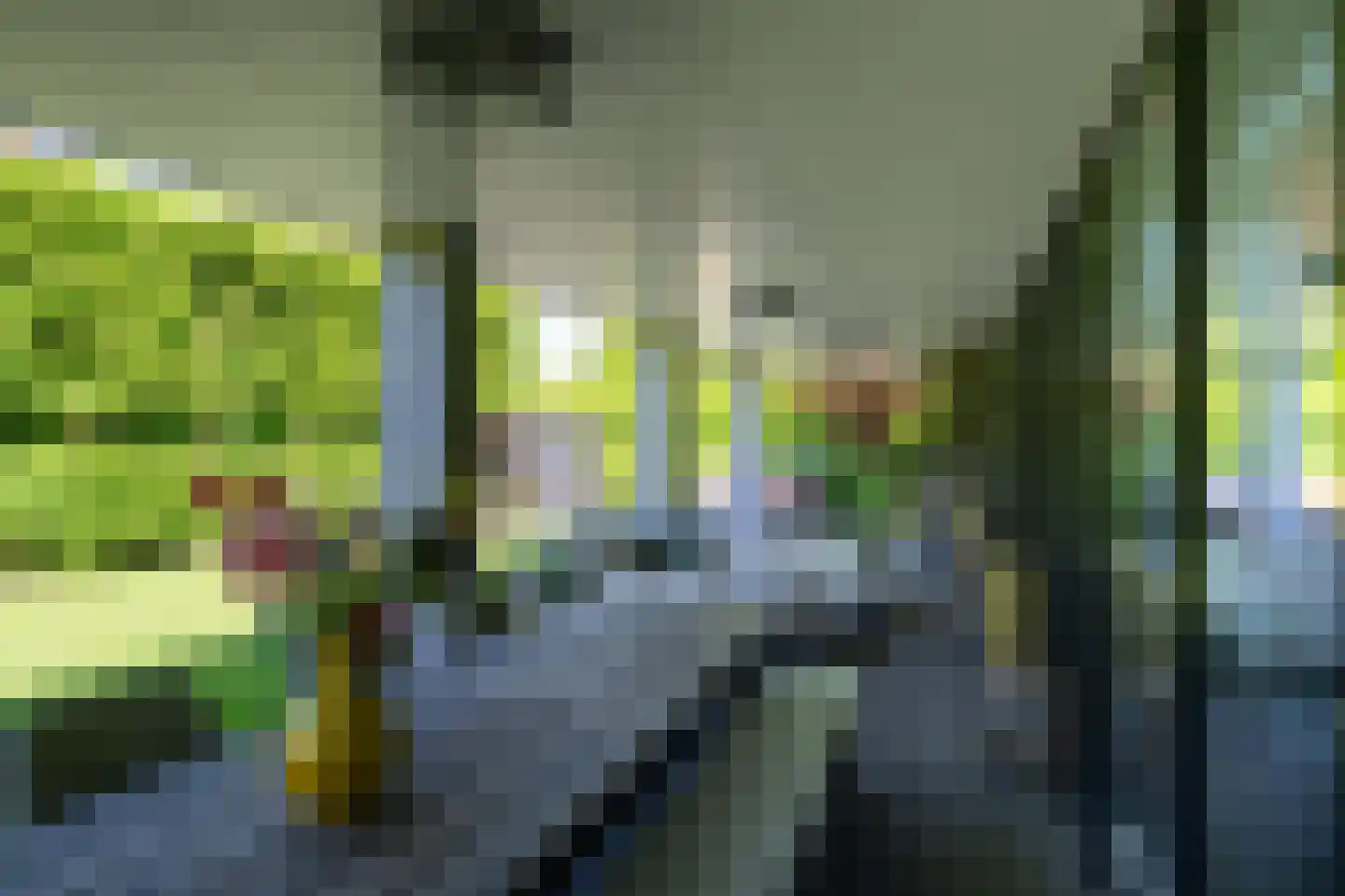 Groot Houteveen 4 Hooglanderveen thumbnail 28