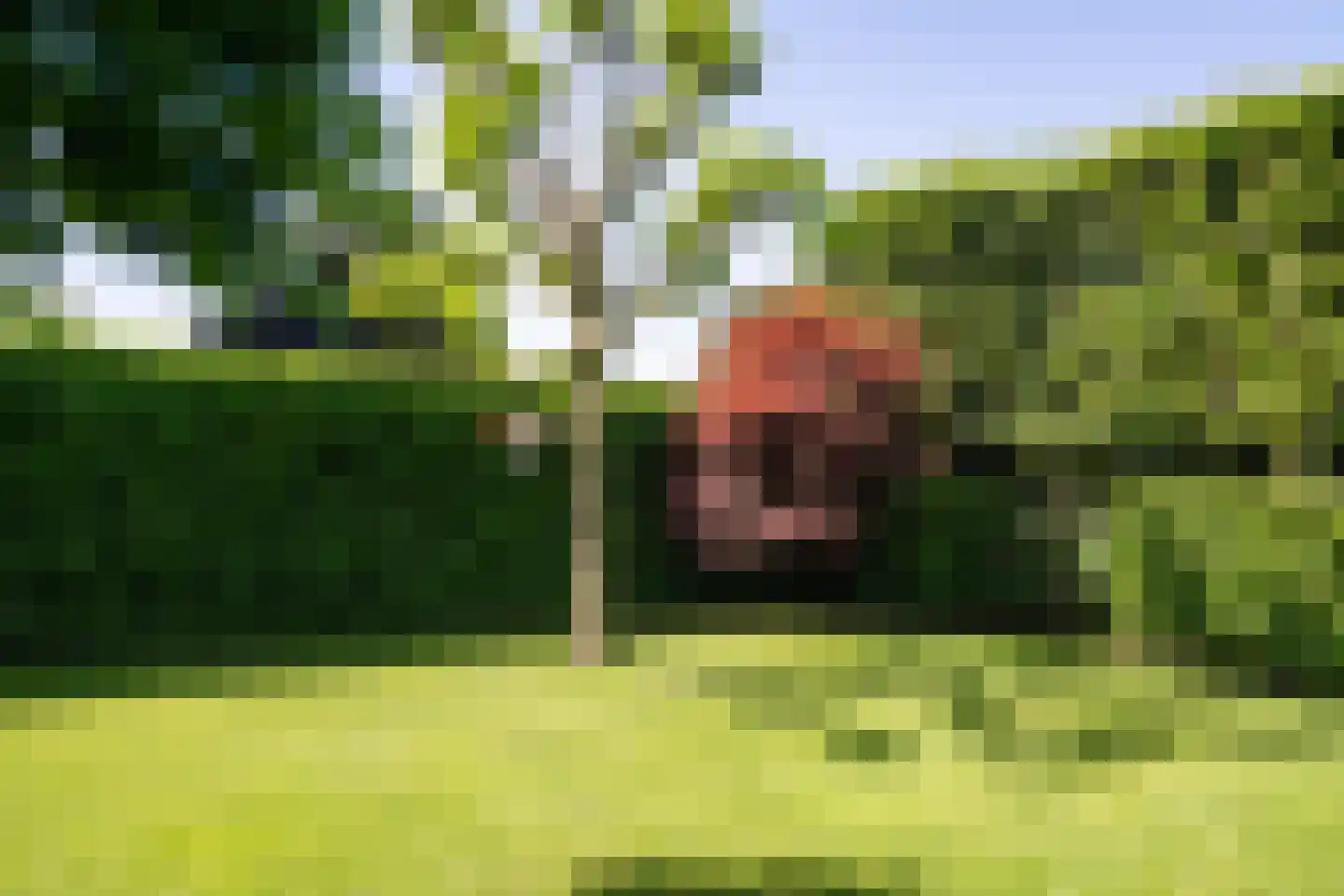 Groot Houteveen 4 Hooglanderveen thumbnail 29