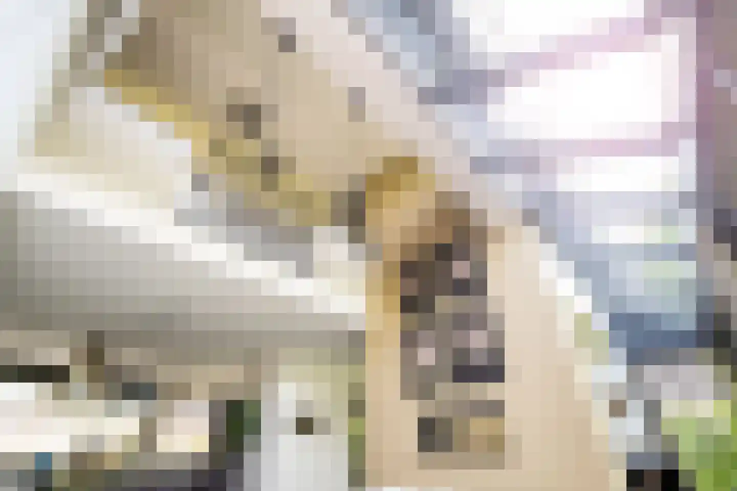 Groot Houteveen 4 Hooglanderveen thumbnail 30