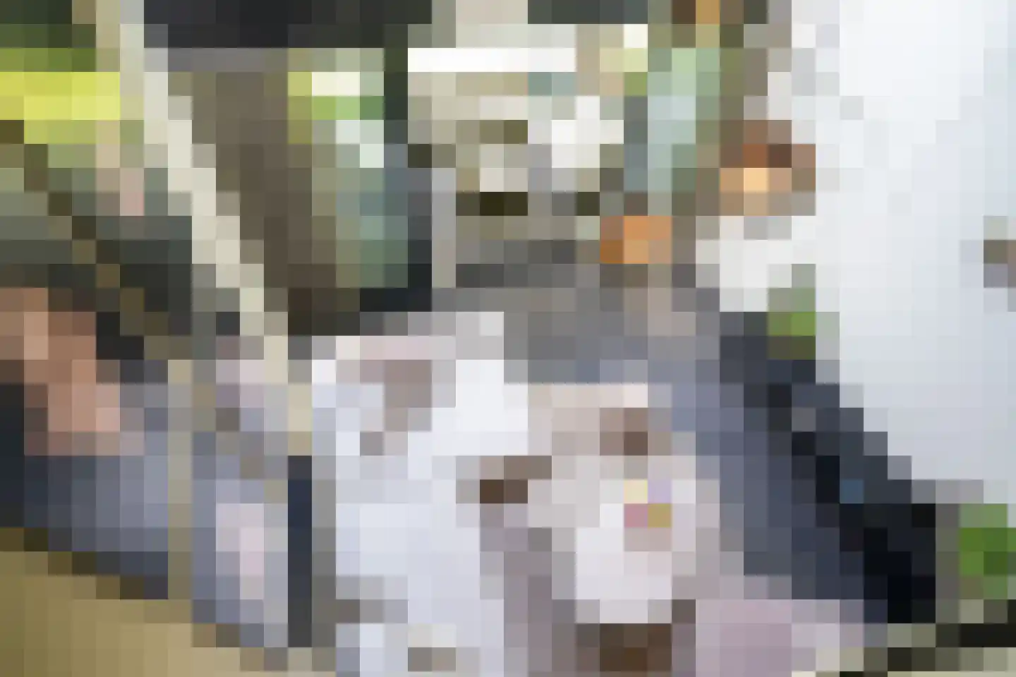 Groot Houteveen 4 Hooglanderveen thumbnail 35