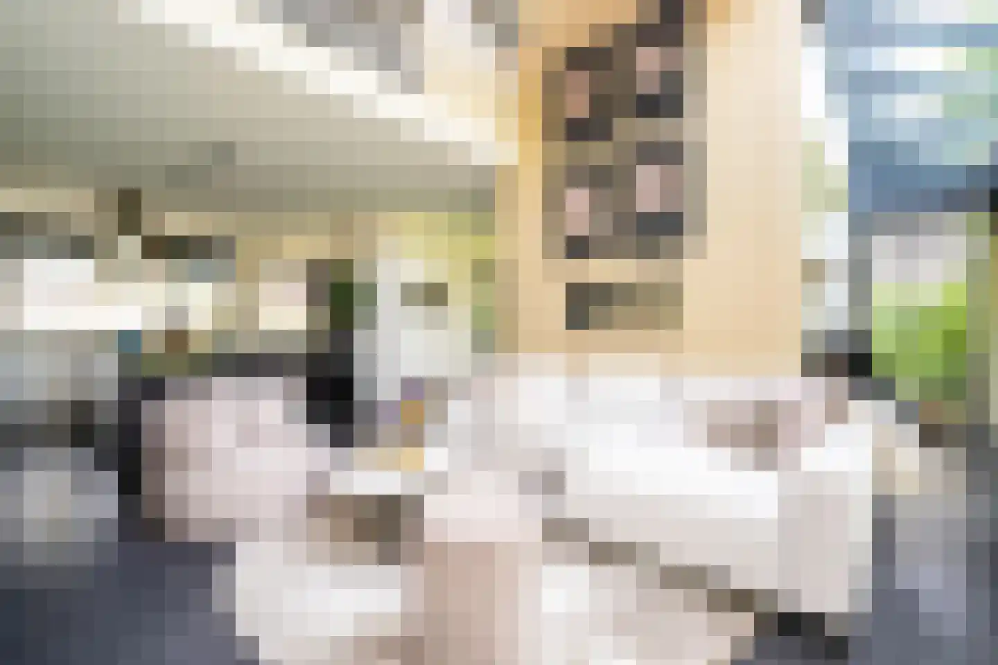 Groot Houteveen 4 Hooglanderveen thumbnail 5