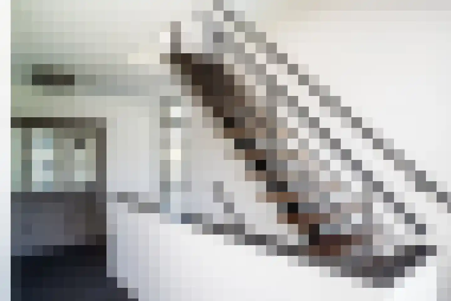 Groot Houteveen 4 Hooglanderveen thumbnail 51