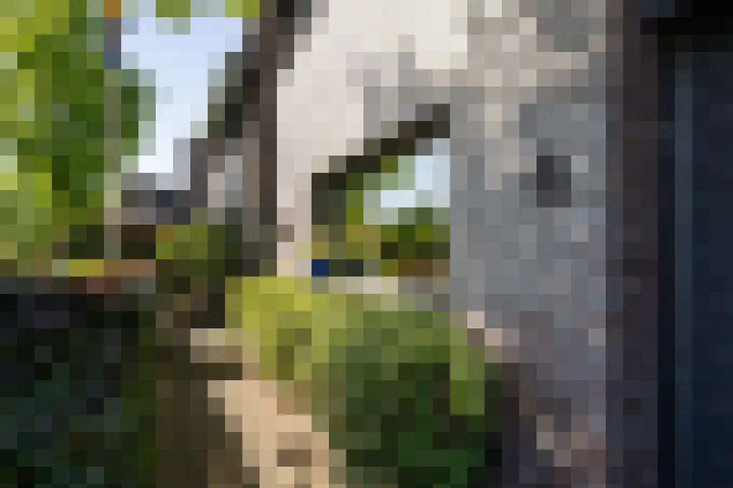 Groot Houteveen 4 Hooglanderveen thumbnail 66