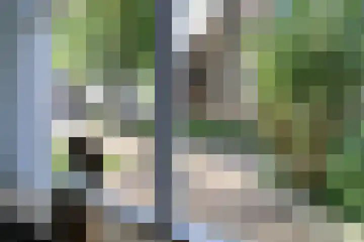 Groot Kerkhof 21 Bolsward thumbnail 13