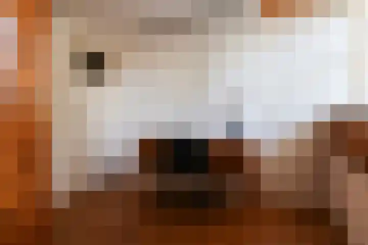Groot Kerkhof 21 Bolsward thumbnail 29