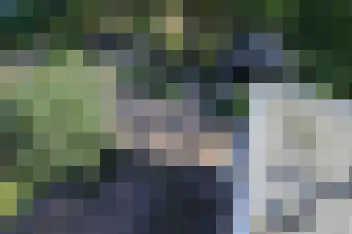 Groot Kerkhof 21 Bolsward thumbnail 33