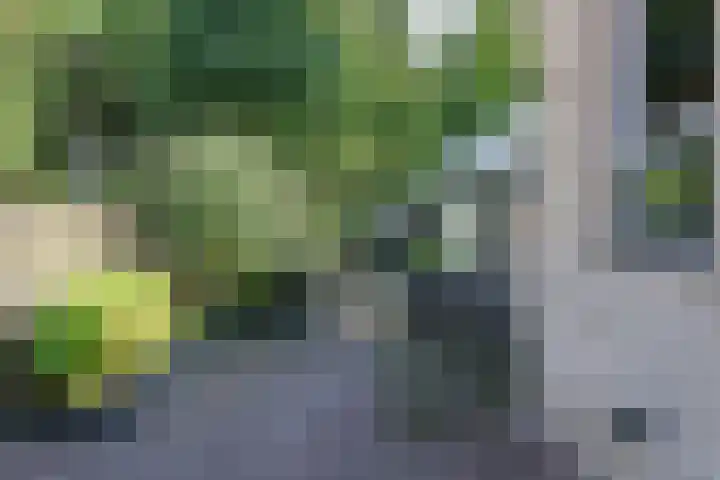 Groot Kerkhof 21 Bolsward thumbnail 34