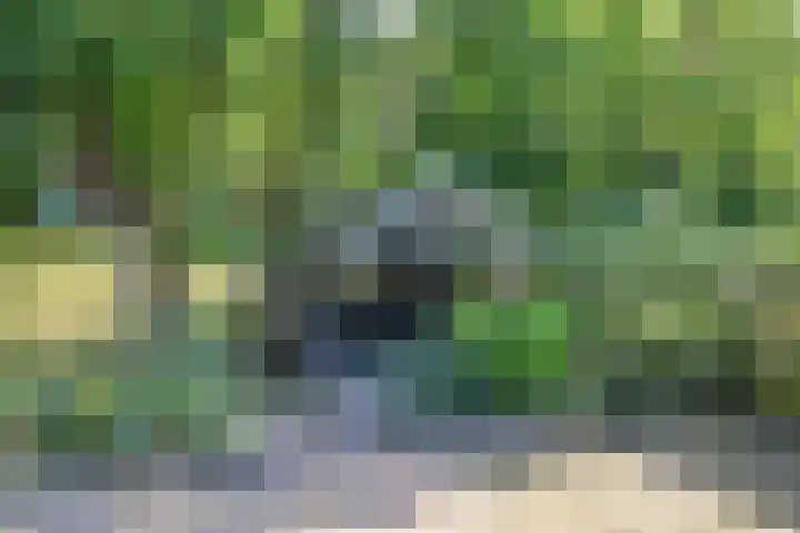 Groot Kerkhof 21 Bolsward thumbnail 35