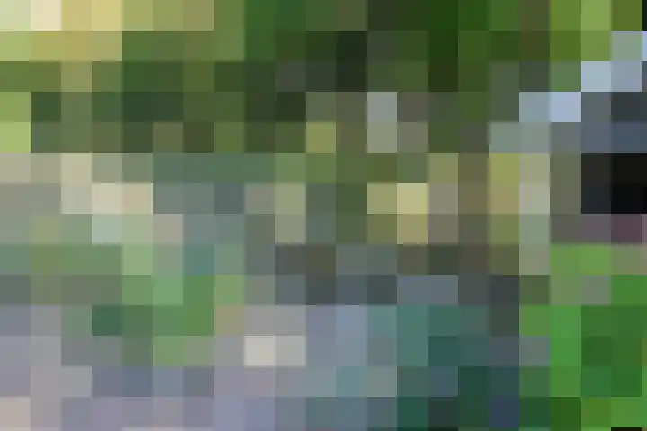 Groot Kerkhof 21 Bolsward thumbnail 36
