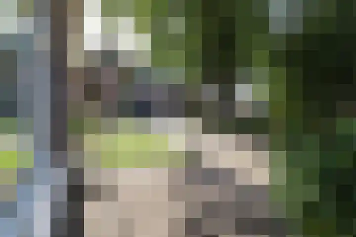Groot Kerkhof 21 Bolsward thumbnail 4