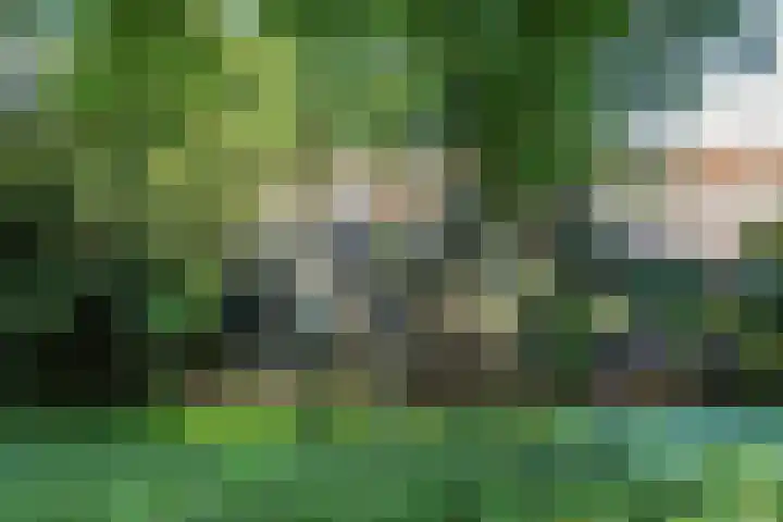 Groot Kerkhof 21 Bolsward thumbnail 42