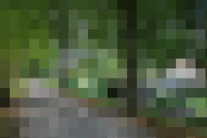 Groot Kerkhof 21 Bolsward thumbnail 43