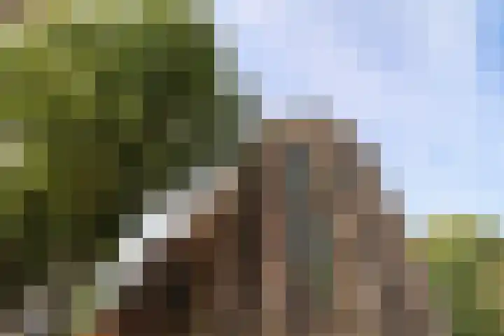Groot Kerkhof 21 Bolsward thumbnail 5