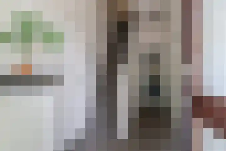 Groot Kerkhof 21 Bolsward thumbnail 6