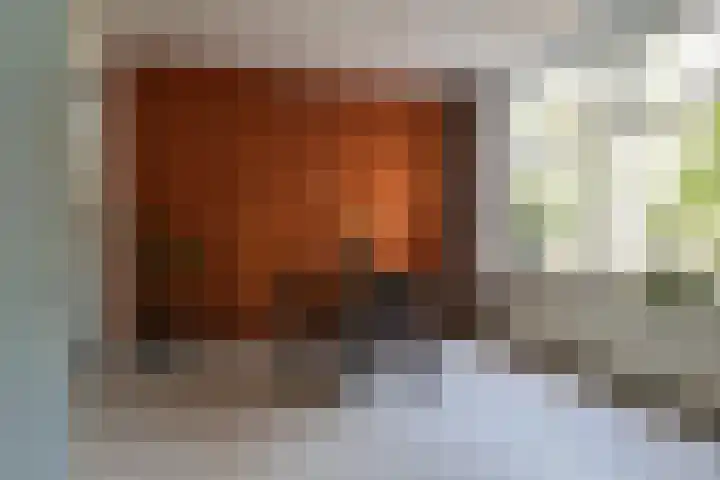 Groot Kerkhof 21 Bolsward thumbnail 8