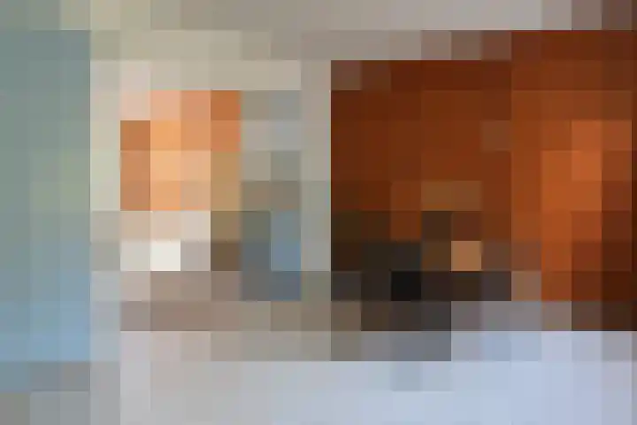 Groot Kerkhof 21 Bolsward thumbnail 9
